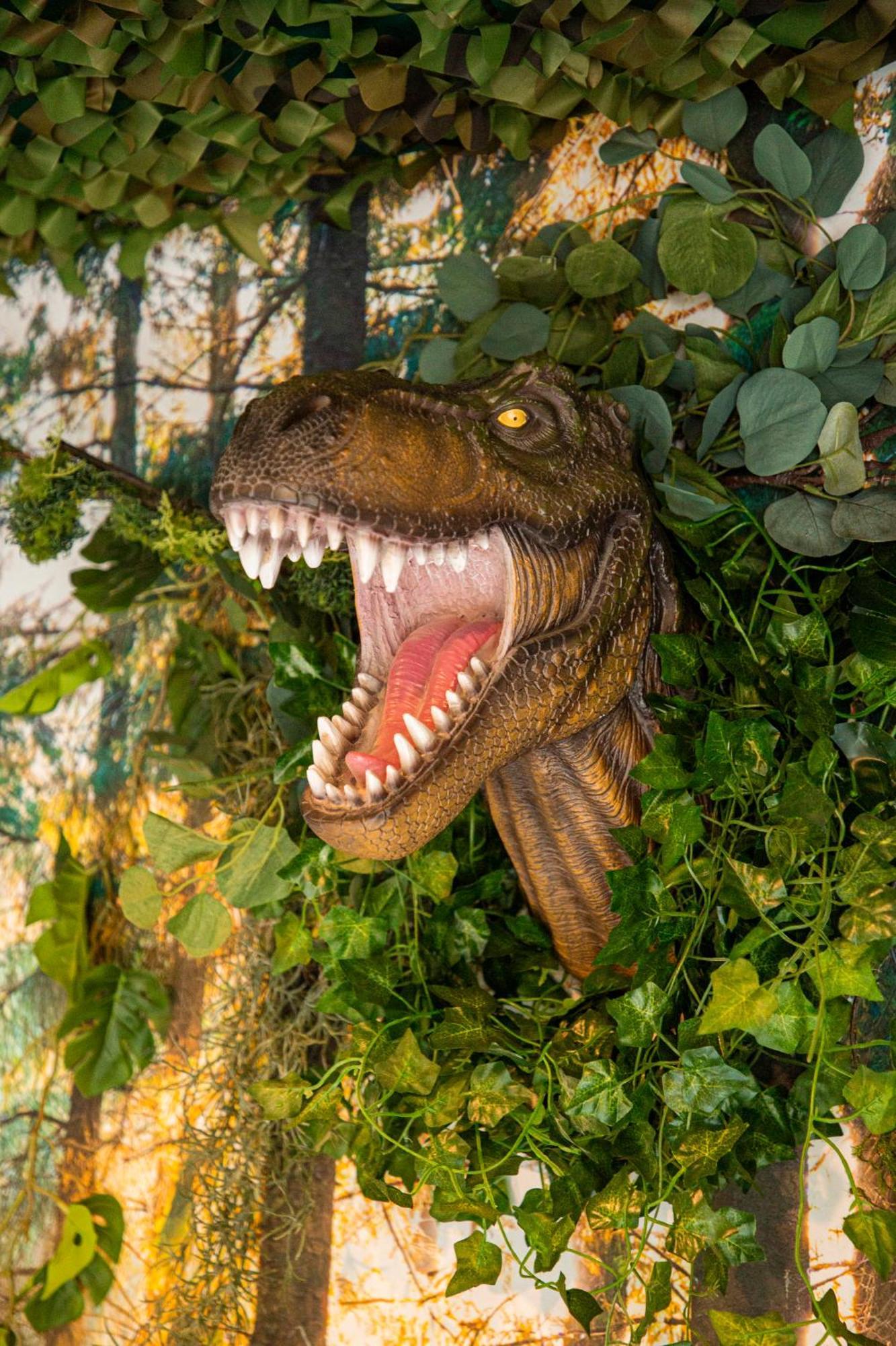 Jurassique Appart Montigny-les-Metz Bagian luar foto